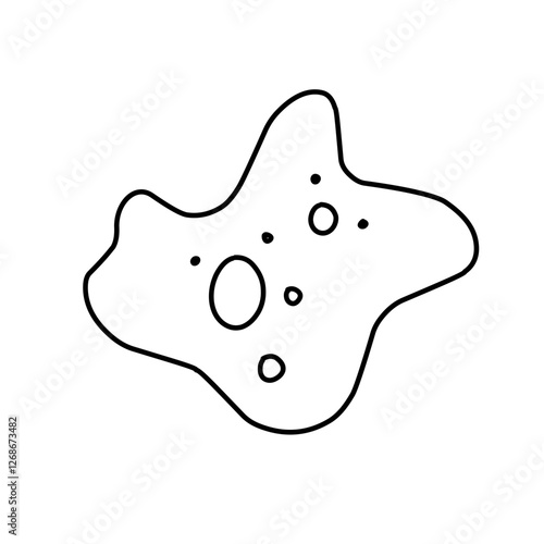 amoeba cells