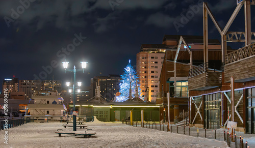 雪の降る夜の港