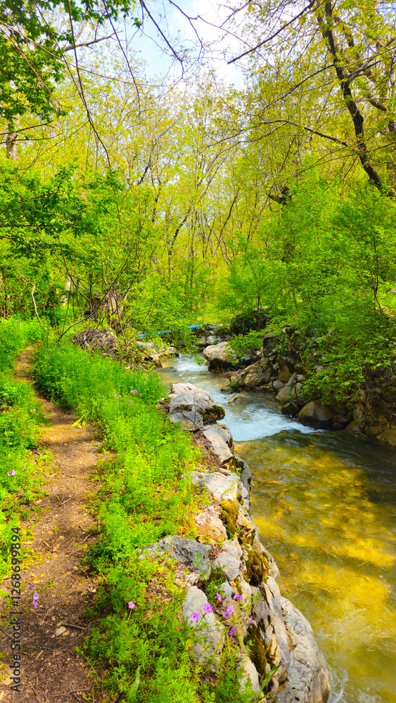 Embrace the beauty of spring, where every step leads to serenity and endless adventure.
📍Hawraman Takht, Kurdistan
Embrace the beauty of spring, where every step leads to serenity and endless adventure.
📍Hawraman Takht, Kurdistan