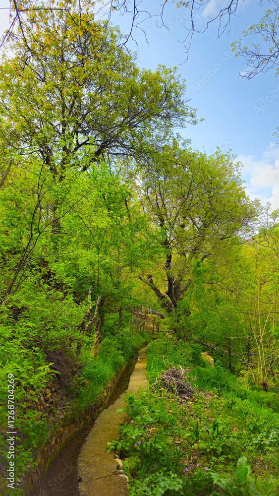 Embrace the beauty of spring, where every step leads to serenity and endless adventure.
📍Hawraman Takht, Kurdistan
Embrace the beauty of spring, where every step leads to serenity and endless adventure.
📍Hawraman Takht, Kurdistan