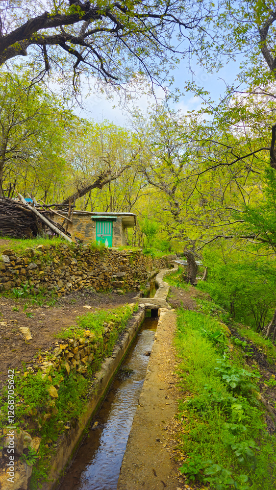 Embrace the beauty of spring, where every step leads to serenity and endless adventure.
📍Hawraman Takht, Kurdistan
Embrace the beauty of spring, where every step leads to serenity and endless adventure.
📍Hawraman Takht, Kurdistan