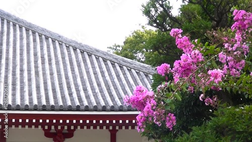 日本寺院の屋根と風に揺れるピンクの花にセミの音がする