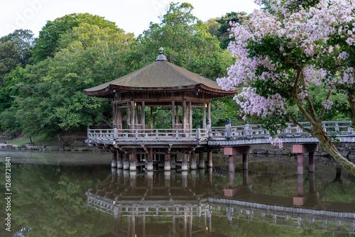 Obraz na płótnie Ukimido Pavilion in Nara park early in the morning w salonie