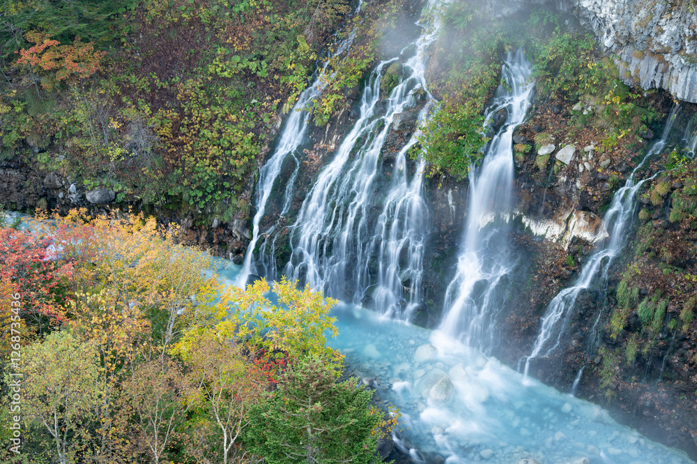 Fototapeta premium 白ひげの滝と紅葉