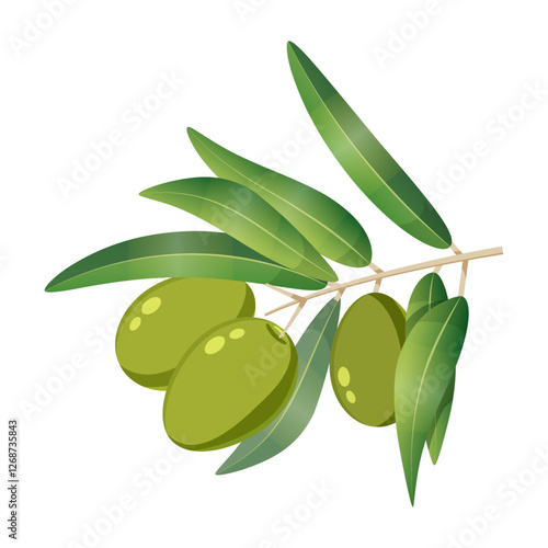 Olive green tree branch with berries