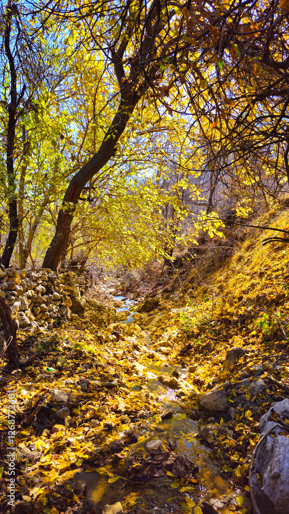 Autumn in Hawraman Takht offers a breathtaking landscape with vibrant colors, creating a mesmerizing scene that refreshes the soul and mind of every viewer. Autumn in Hawraman Takht offers a breathtaking landscape with vibrant colors, creating a mesmerizing scene that refreshes the soul and mind of every viewer.