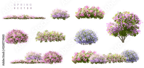 Vertor set of spring blossom tree,blooming plants side view  for landscape elevation and section,eco environment concept design,watercolor shrub illustration,colorful season