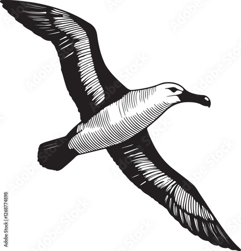Seabird in Flight: A majestic albatross, its wings outstretched in graceful flight, captured in a classic woodcut illustration style, showcasing its elegant silhouette against a clear background.