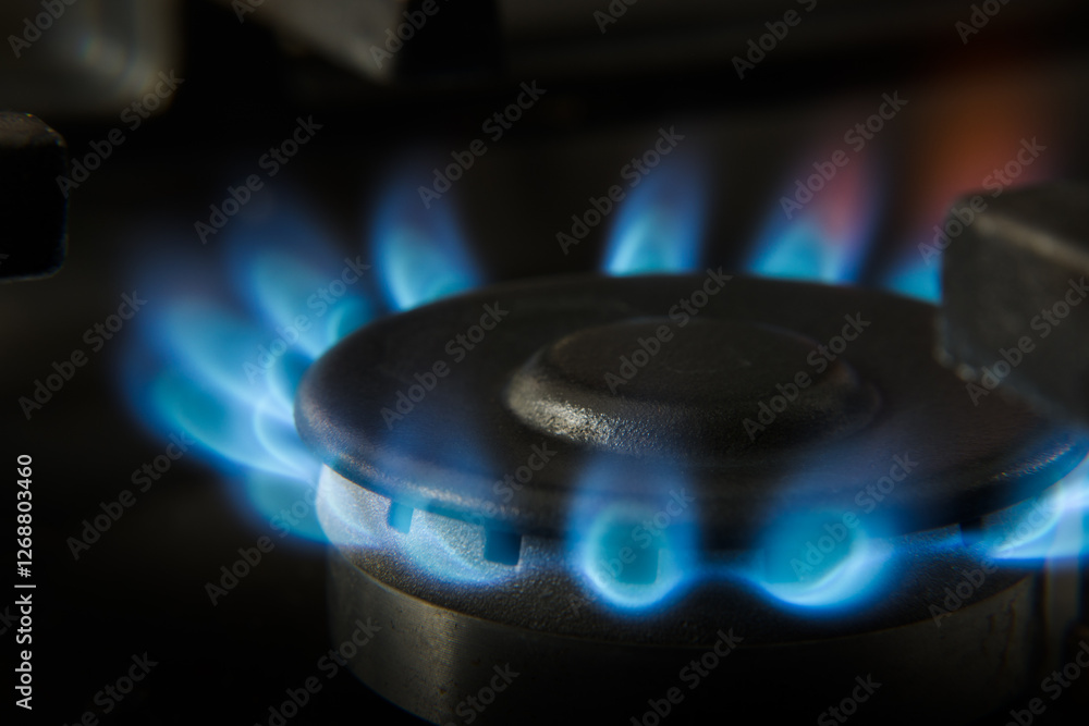 Gas flame in a home stove.