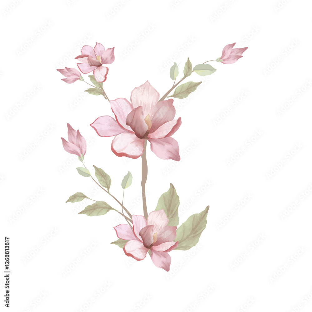 Watercolor Magnolia pink flowers on a branch Watercolor Magnolia pink flowers on a branch
