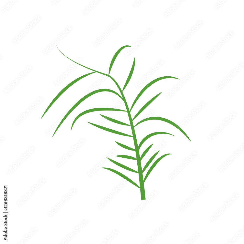 Set of organic minimalist silhouette summer and spring branches with leaves. Simple flower logo design element. Elegant floral twig decoration. Botanical simple. Plant icon set. Vector Graphic. EPS 10 Set of organic minimalist silhouette summer and spring branches with leaves. Simple flower logo design element. Elegant floral twig decoration. Botanical simple. Plant icon set. Vector Graphic. EPS 10
