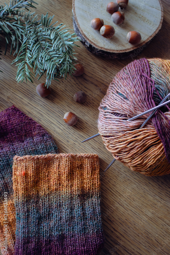 Gradient coloured knitting yarn with knitting needles and knitted sock. Knitting still life. Coniferous branch, hazelnuts and handmade sock with ball of yarn and knitting needles. Winter warm clothes.