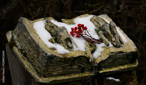 old garden decorations in winter photo