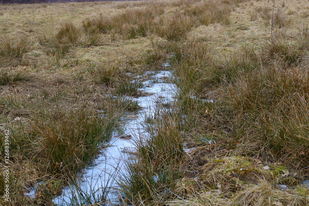 Frozen puddle in the middle of a grass field. Natural background. Frozen puddle in the middle of a grass field. Natural background.