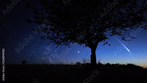 Countryside silhouettes under the stars, meteor trail and crescent Moon.