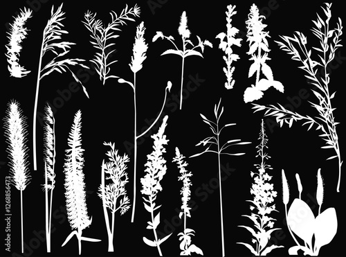 seventeen wild plants and flowers silhouettes on black