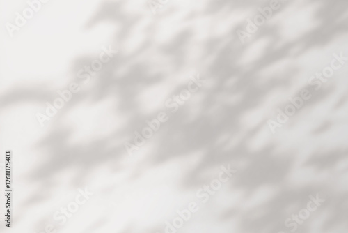 Shadow of the window on a gray background. Horizontal orientation, 3D rendering, overlay effect for photo