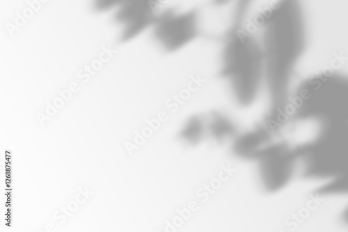 Shadow of the window on a gray background. Horizontal orientation, 3D rendering, overlay effect for photo