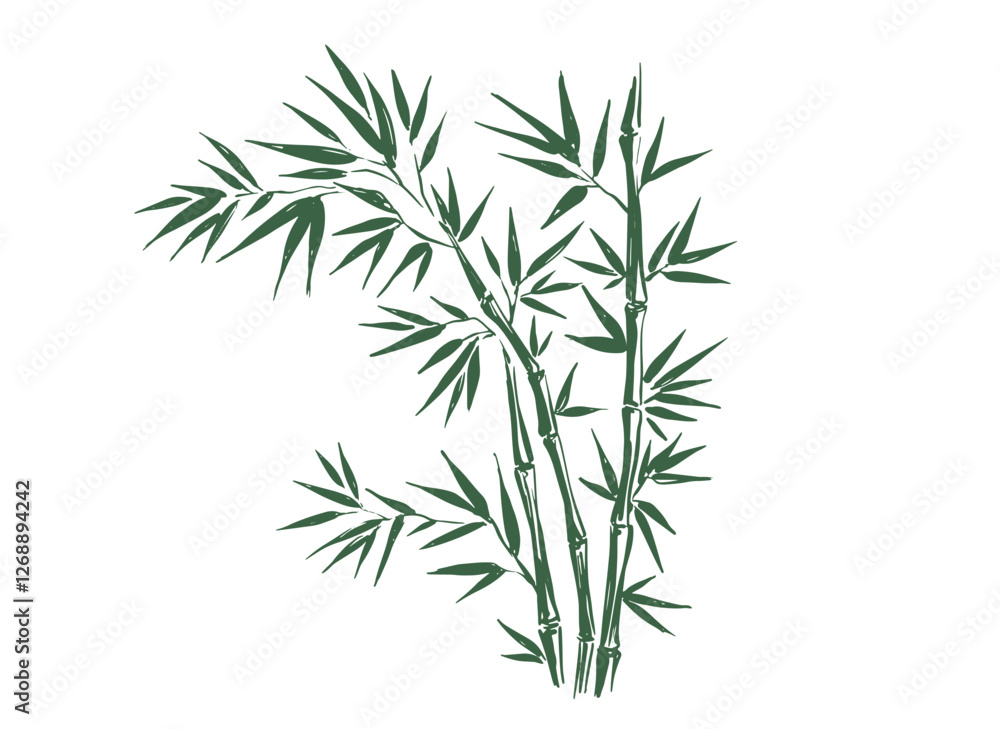 Obraz premium Bamboo tree, Hand drawn style.