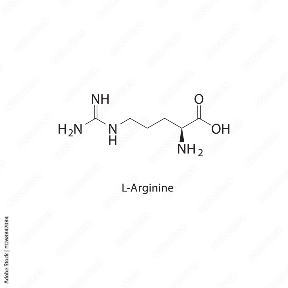 L-Arginine skeletal structure.Amino Acid compound schematic illustration. Simple diagram, chemical formula. L-Arginine skeletal structure.Amino Acid compound schematic illustration. Simple diagram, chemical formula.