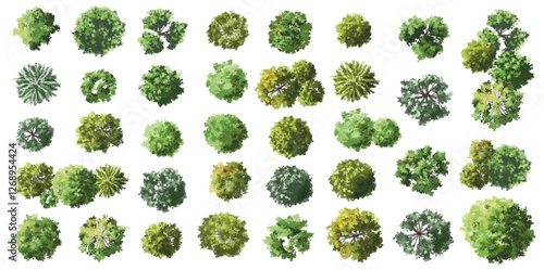 Vertor set of green tree,plants top view for landscape plan,schematic layout,eco environment concept design,watercolor greenery illustration