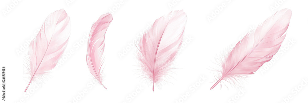 Four delicate pink feathers. Isolated on transparent background. Generative AI Four delicate pink feathers. Isolated on transparent background. Generative AI