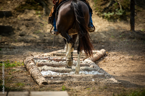 Horse passing logs in a mountain trail competition