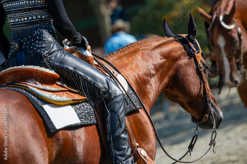 Cowgirl riding a quarter horse at a western competition