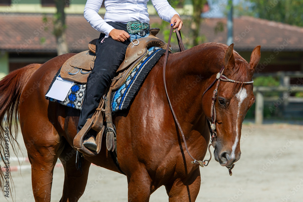 Obraz premium Cowgirl riding a quarter horse at a western competition