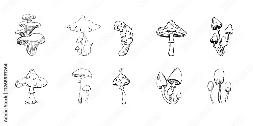 Mushroom sketch doodle drawing, fantasy forest line plant. Set botanical hand drawn mushrooms. Tattoo sign Linear. Mushroom sketch doodle drawing, fantasy forest line plant. Set botanical hand drawn mushrooms. Tattoo sign Linear.