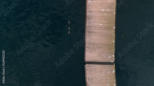 aerial view of ducks near a wooden step with crystal clear water in lake garda