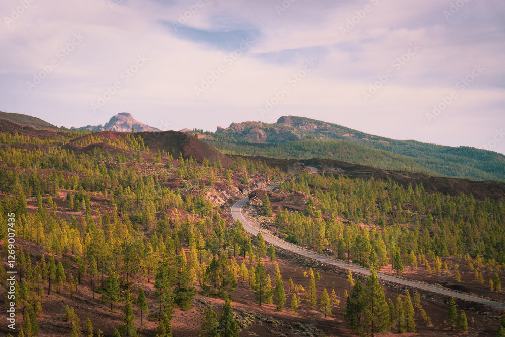 Scenic route through pine woods and volcanic desert wasteland in Caldera of Pico del Teide with mountains on horizon during wonderful sunny day in Tenerife, Canary Islands, Spain