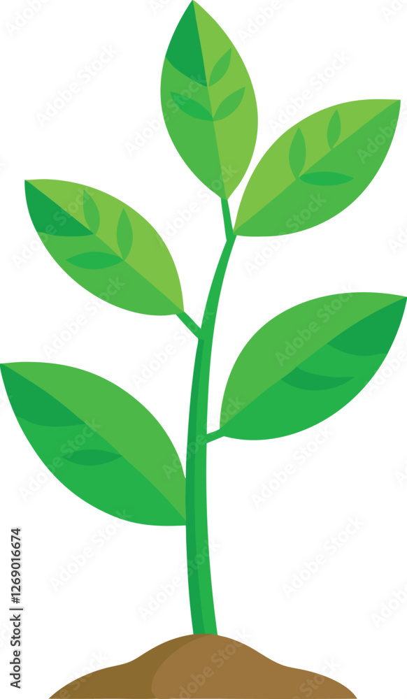 young plant vector, vector and illustration, vector style young plant vector, vector and illustration, vector style