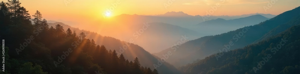 Obraz premium Sunlight filters through the trees as it shines on a misty mountain morning atmosphere, sun, mountains
