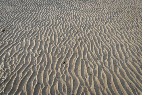 Sand waves