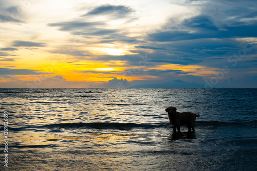 Palani Beach Resort at Sunset photo