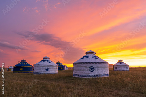 Bild auf Leinwand Yurts in the grassland, yurts in the morning