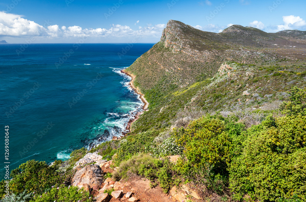 Obraz premium A beautiful coastal view of the cape peninsula with mountains and the Atlantic ocean, Cape Point National Park, Cape Town, Western Cape, South Africa, Africa