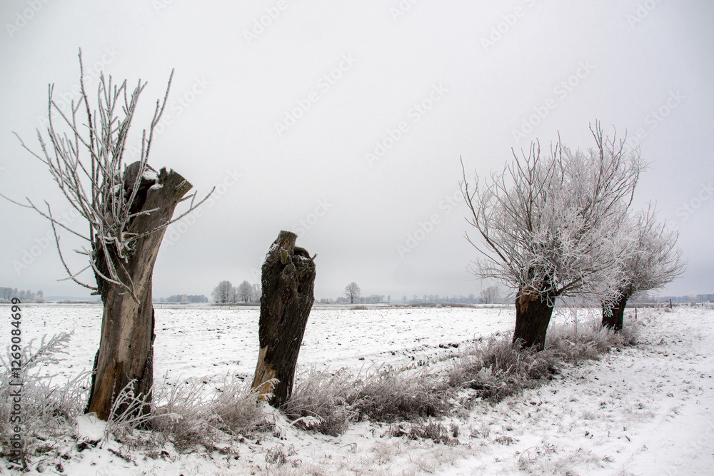 Piękno zimowego krajobrazu, Podlasie, Polska