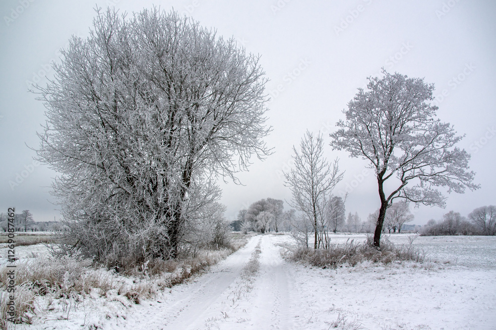 Piękno zimowego krajobrazu, Podlasie, Polska
