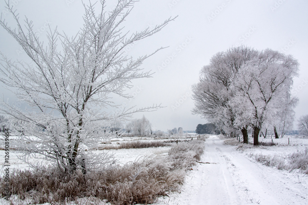 Piękno zimowego krajobrazu, Podlasie, Polska