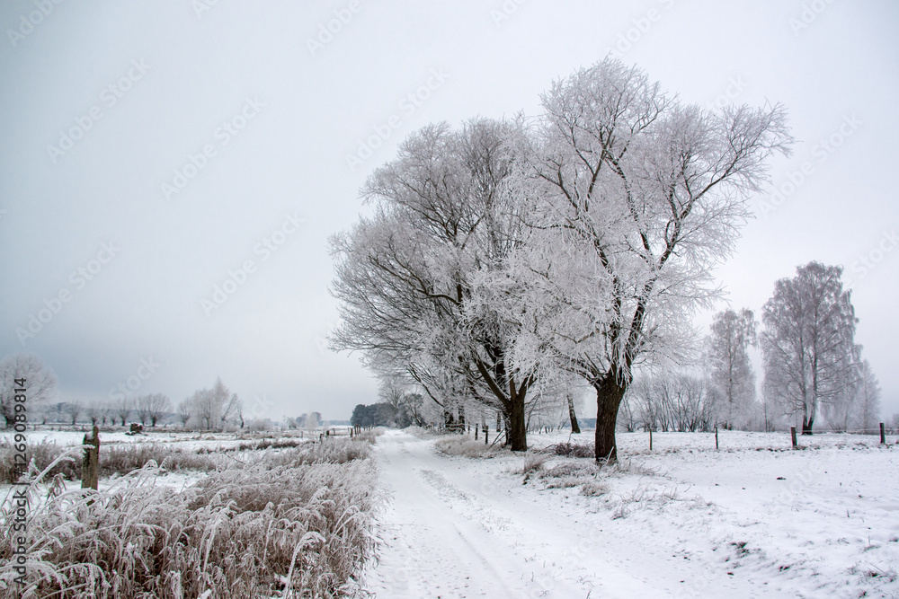 Piękno zimowego krajobrazu, Podlasie, Polska