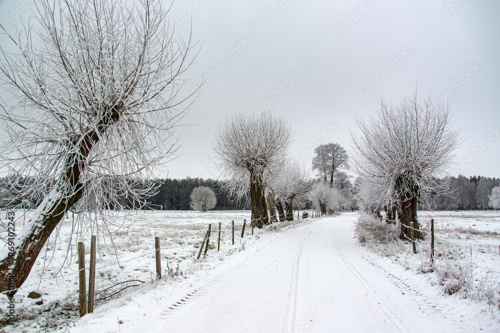 Piękno zimowego krajobrazu, Podlasie, Polska