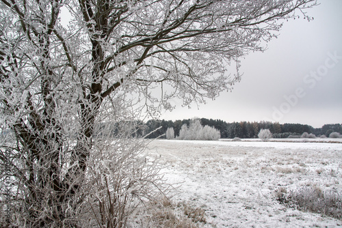 Piękno zimowego krajobrazu, Podlasie, Polska