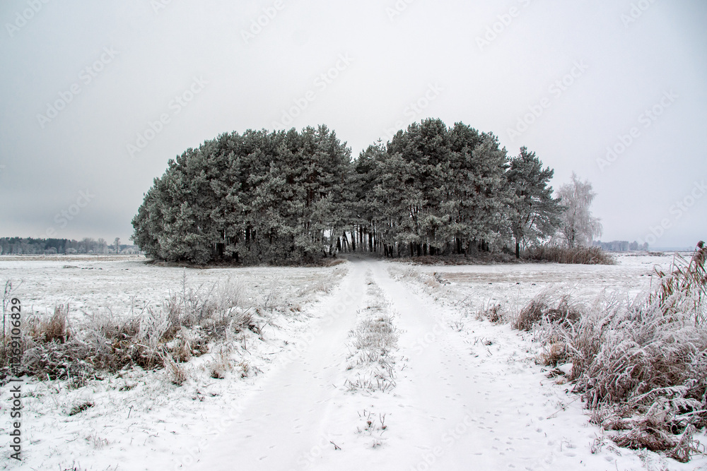Piękno zimowego krajobrazu, Podlasie, Polska