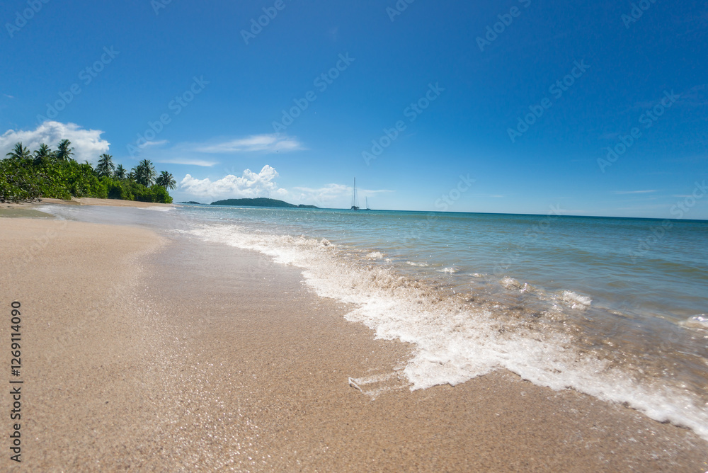 Obraz premium 無人島イメージ