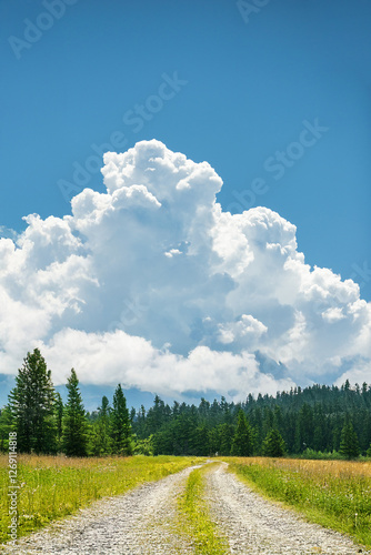 入道雲と田舎道