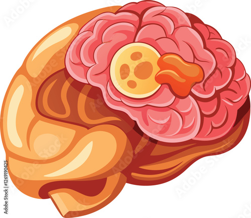 Medical illustration of the human brain vector art illustration