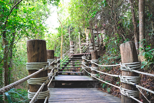  Wooden bridge in a mangrove forest to explore the nature of Thailand. Nature trails in mangrove forests