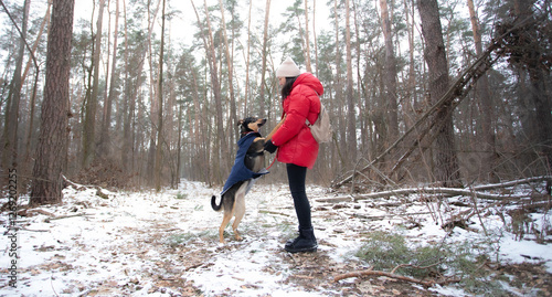 Tableau sur toile The image shows a woman in a red jacket interacting with a dog wearing a blue coat in a snowy forest